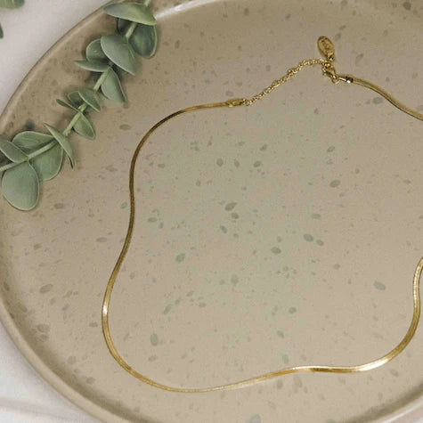 Anguis Chain
