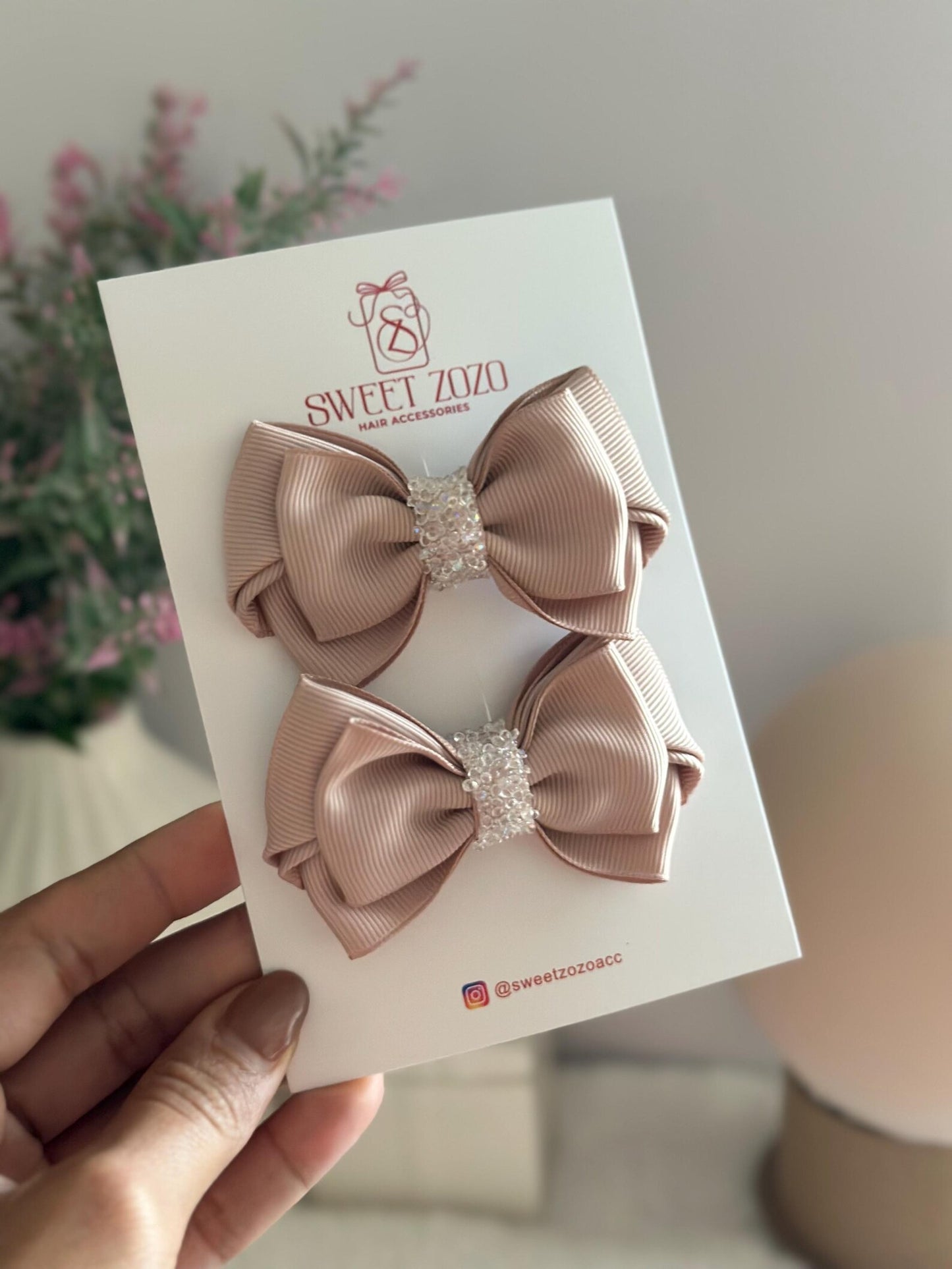 Sweet Bow Clip Set