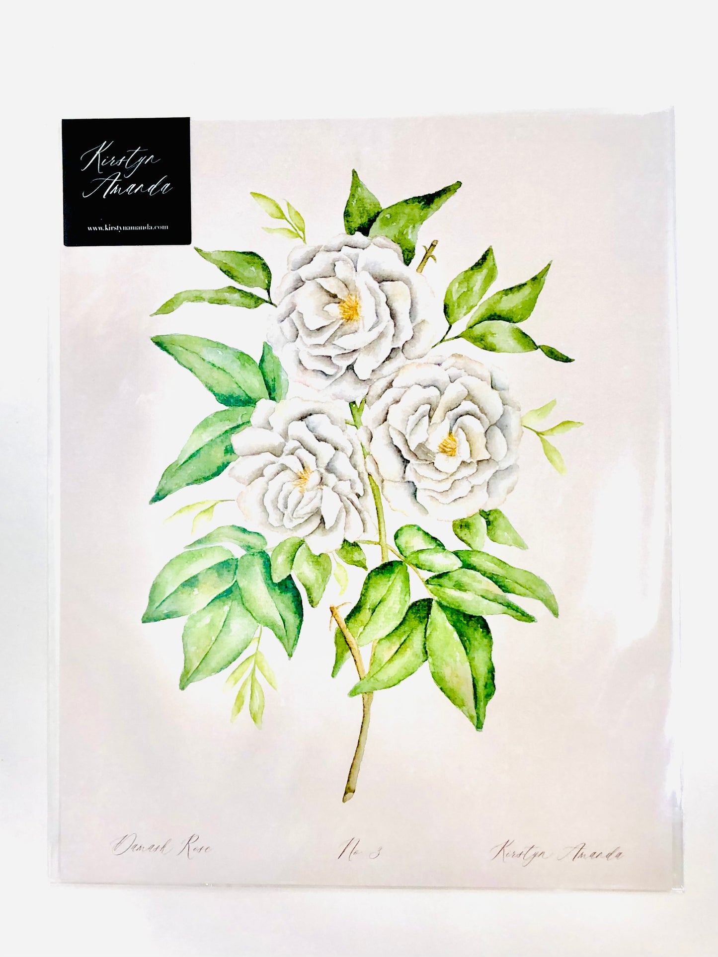 Damask Rose Print