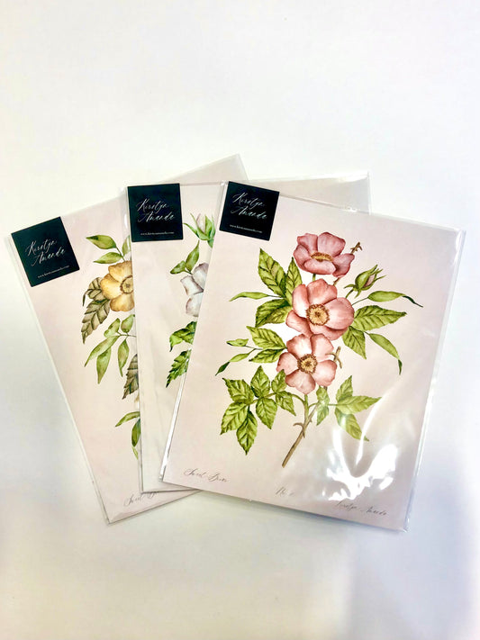 Sweet-Briar Rose Print