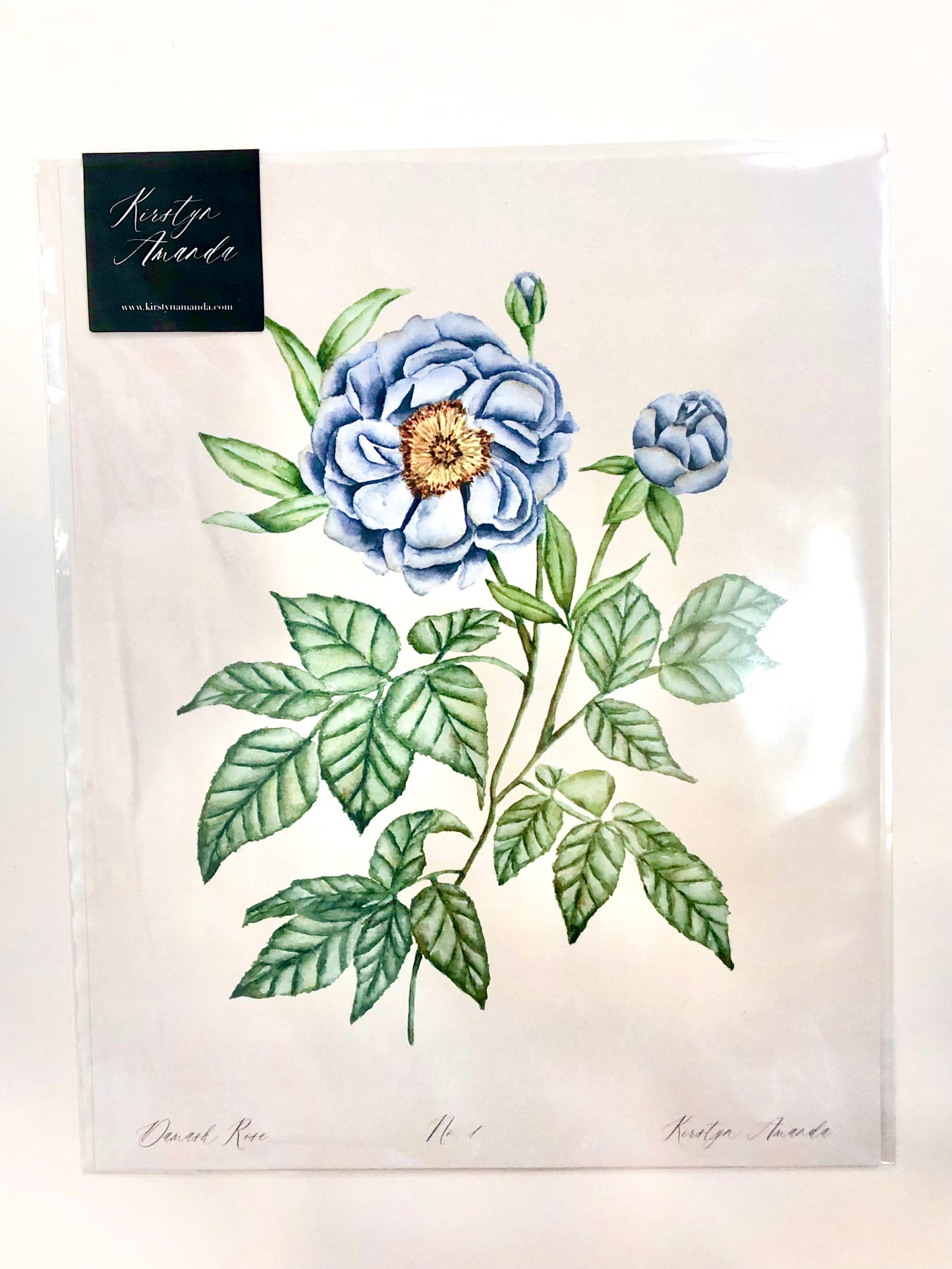 Damask Rose Print