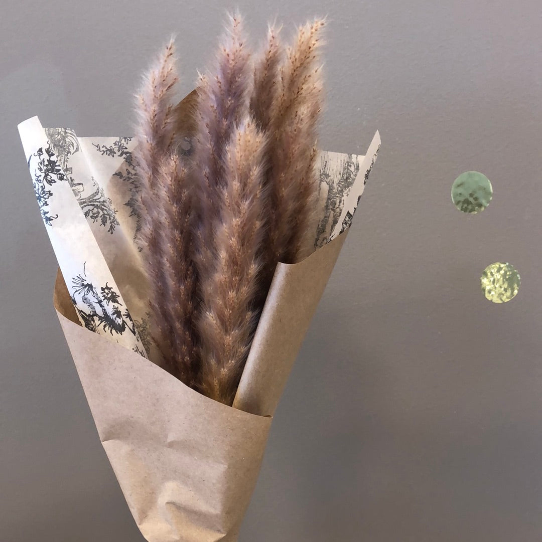 Brown Small Pampas