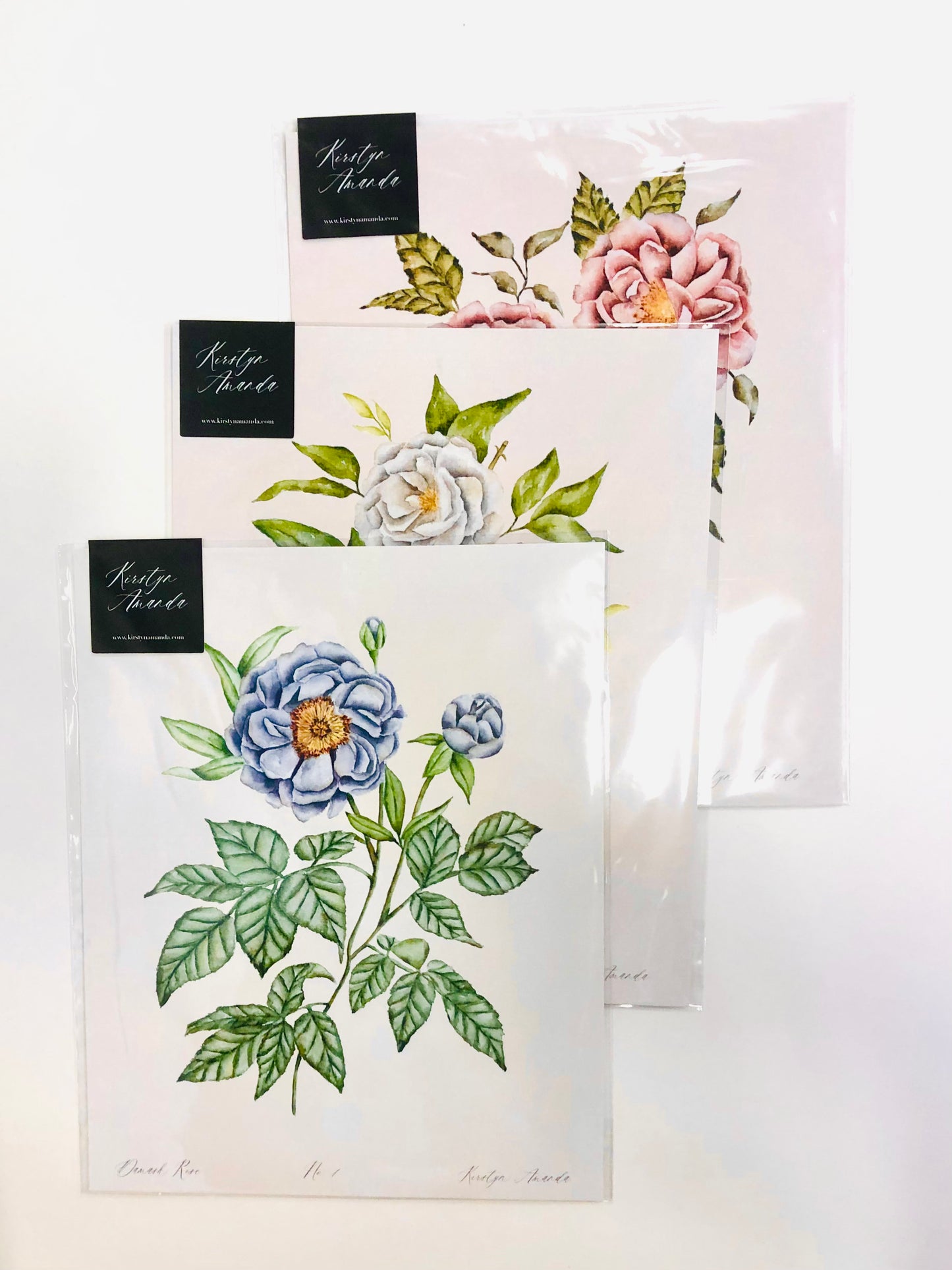 Damask Rose Print