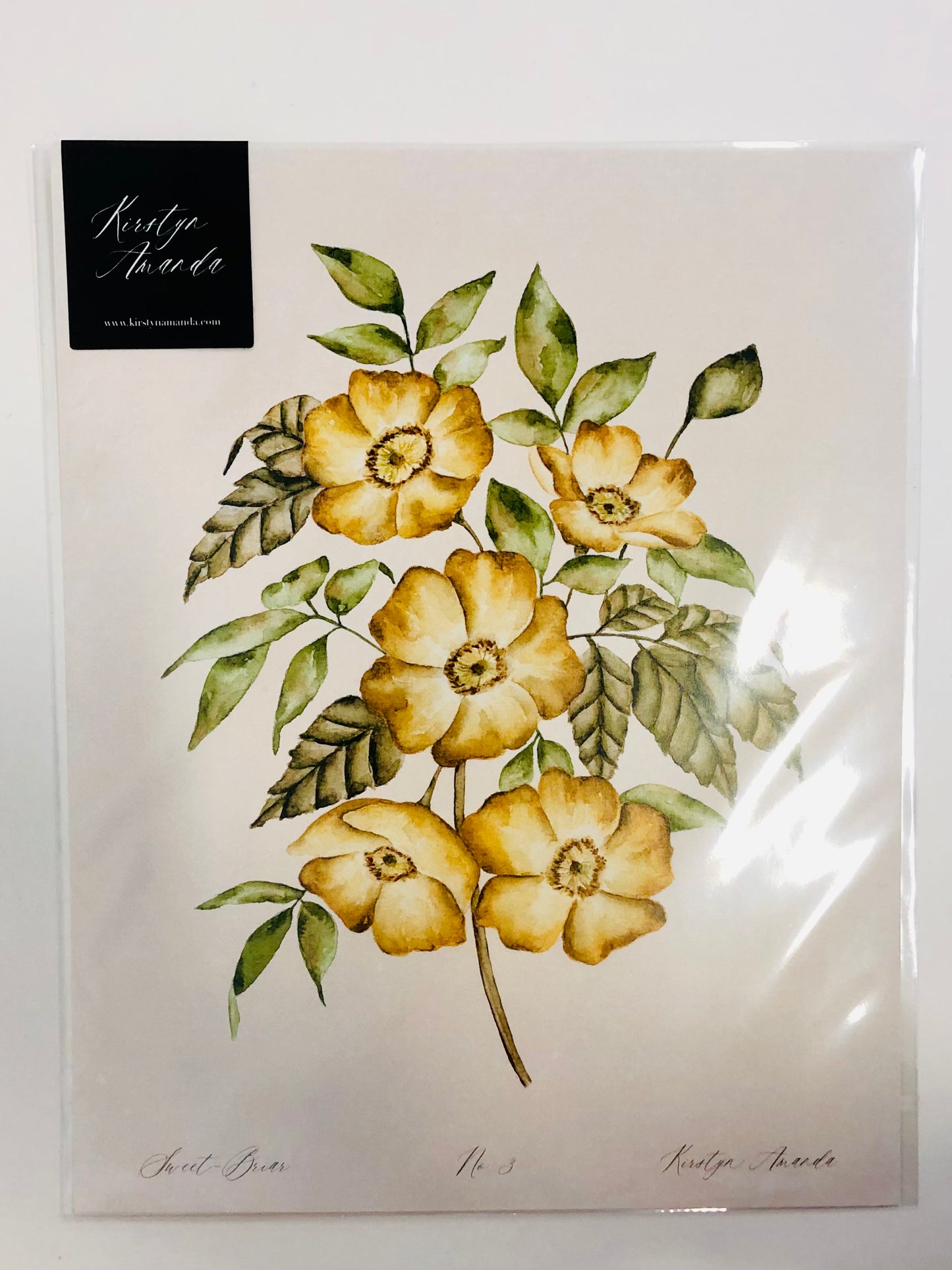 Sweet-Briar Rose Print