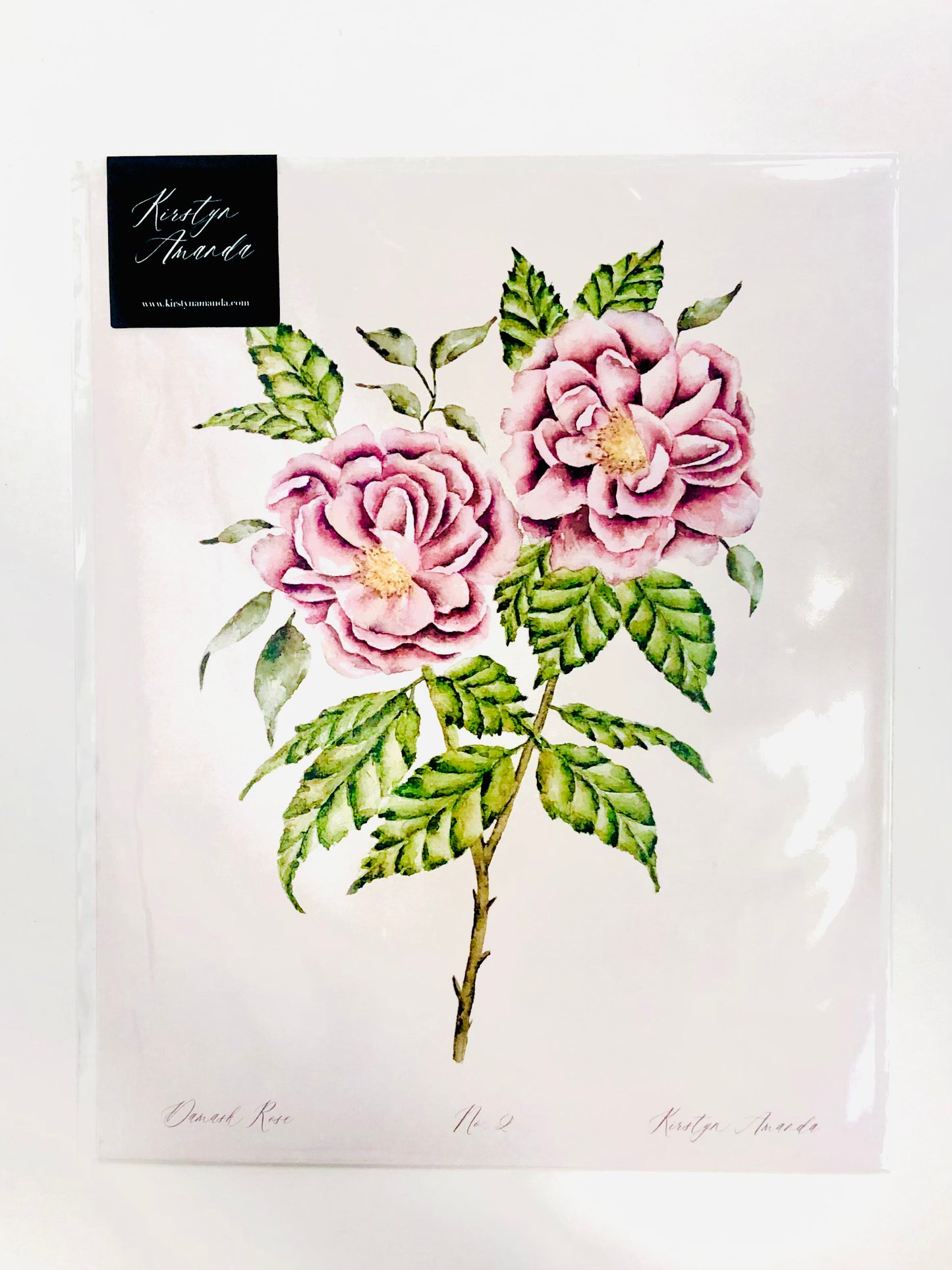 Damask Rose Print