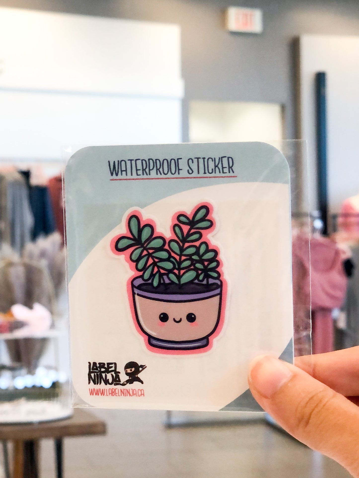 Succulent Sticker