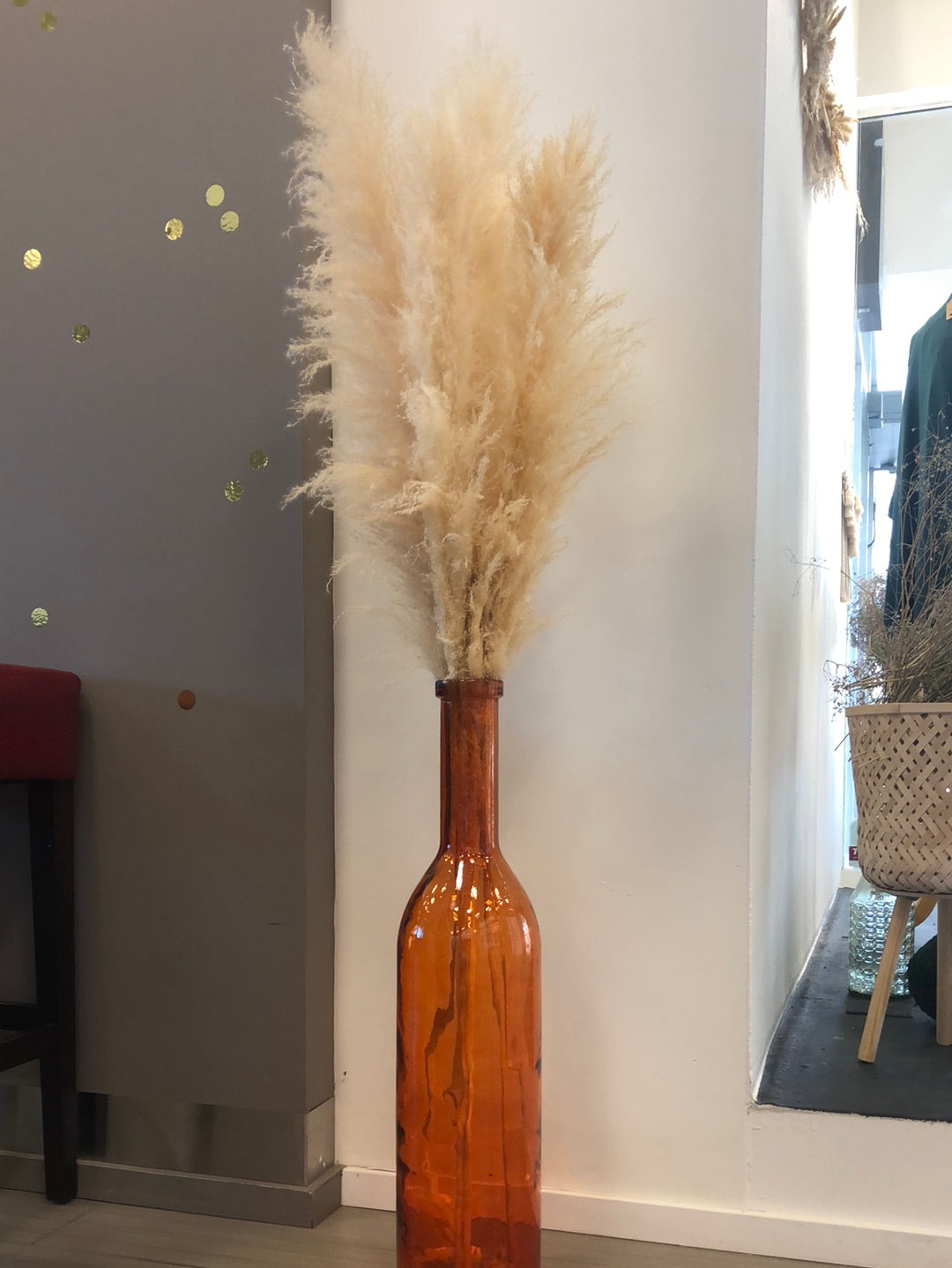 French Champagne Pampas