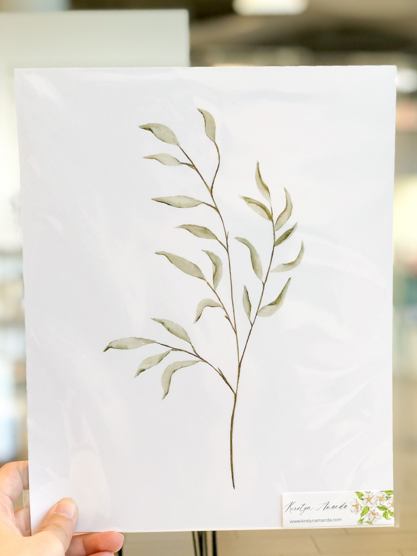 Breezy Botanicals Print