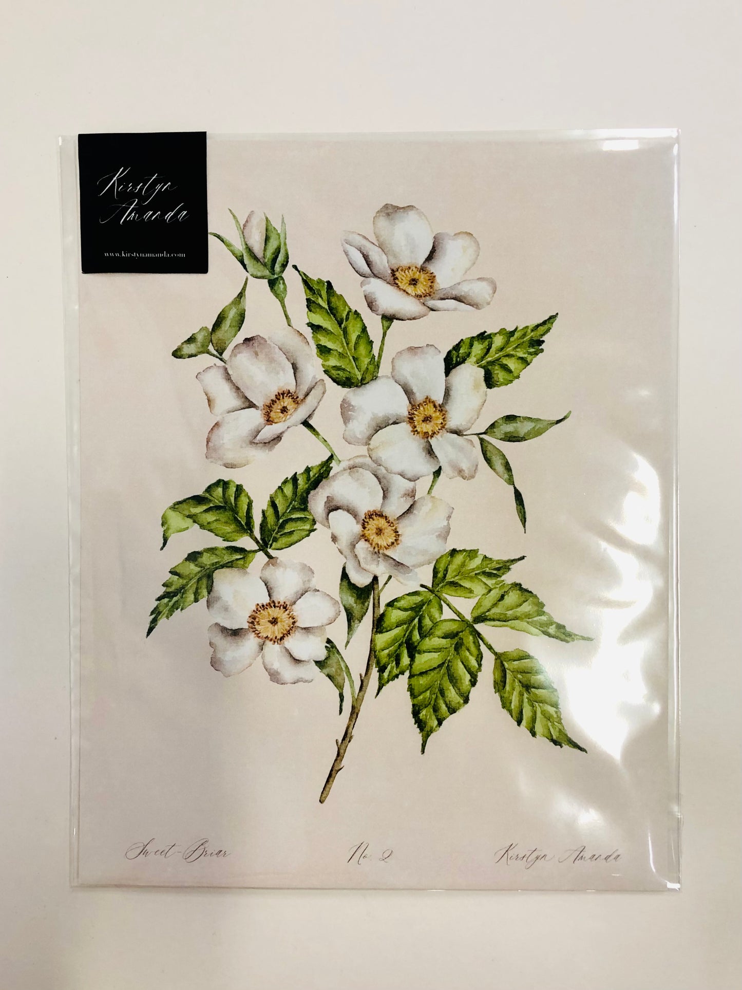 Sweet-Briar Rose Print
