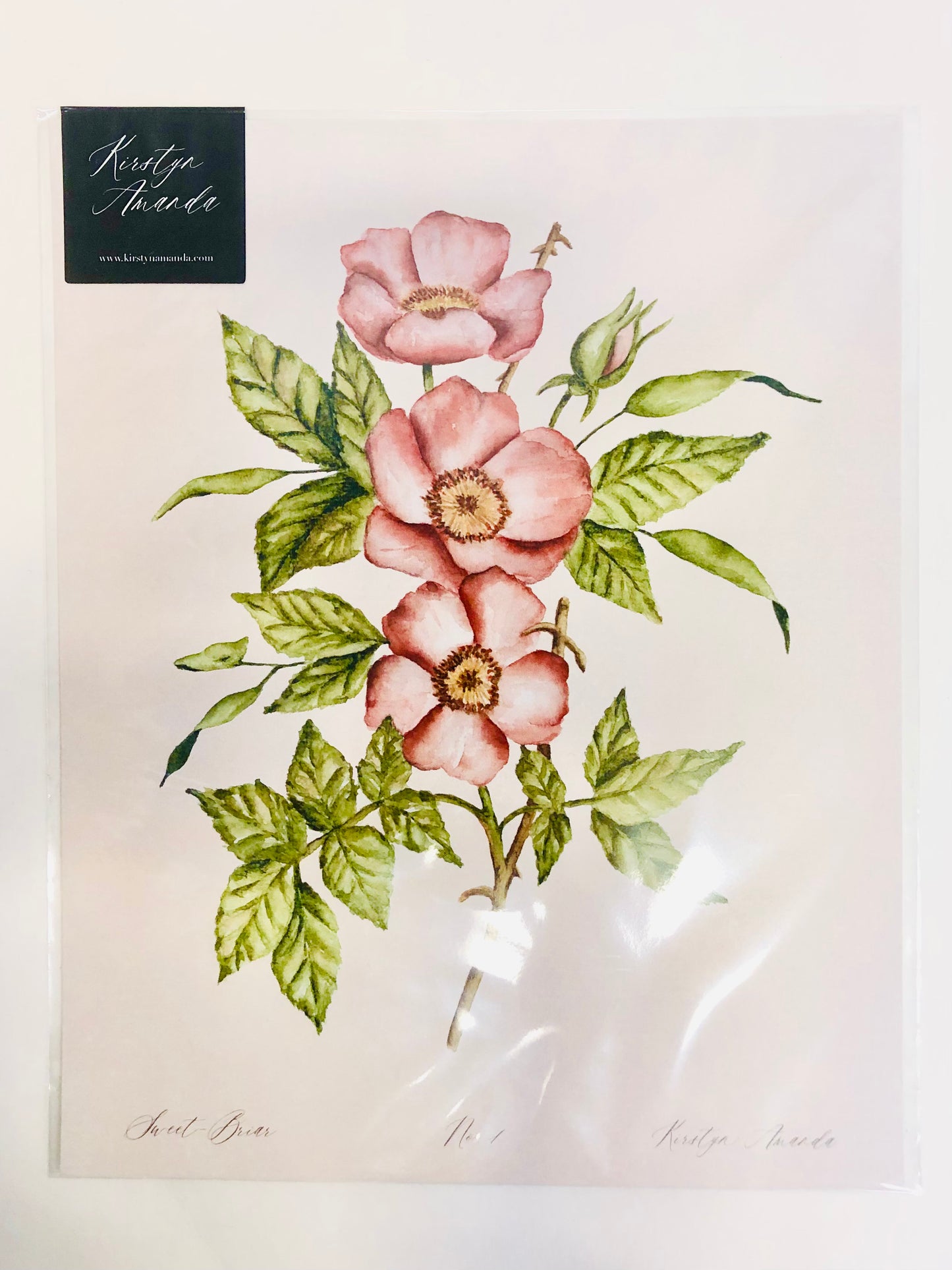 Sweet-Briar Rose Print