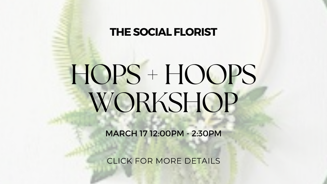 Hops + Hoops Workshop March 17