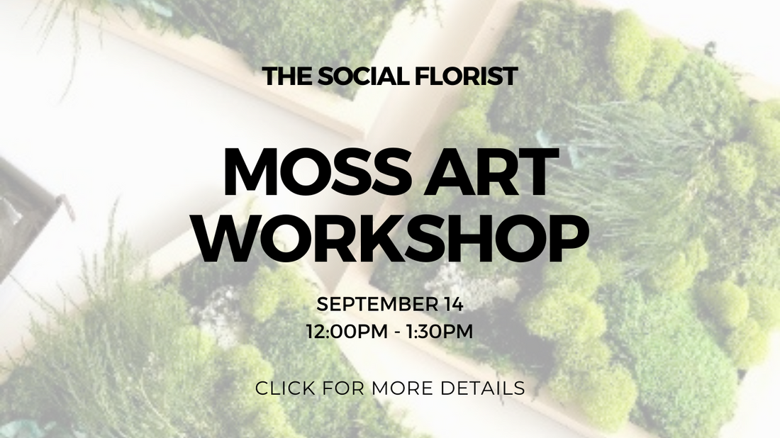 Moss Art Workshop September 14