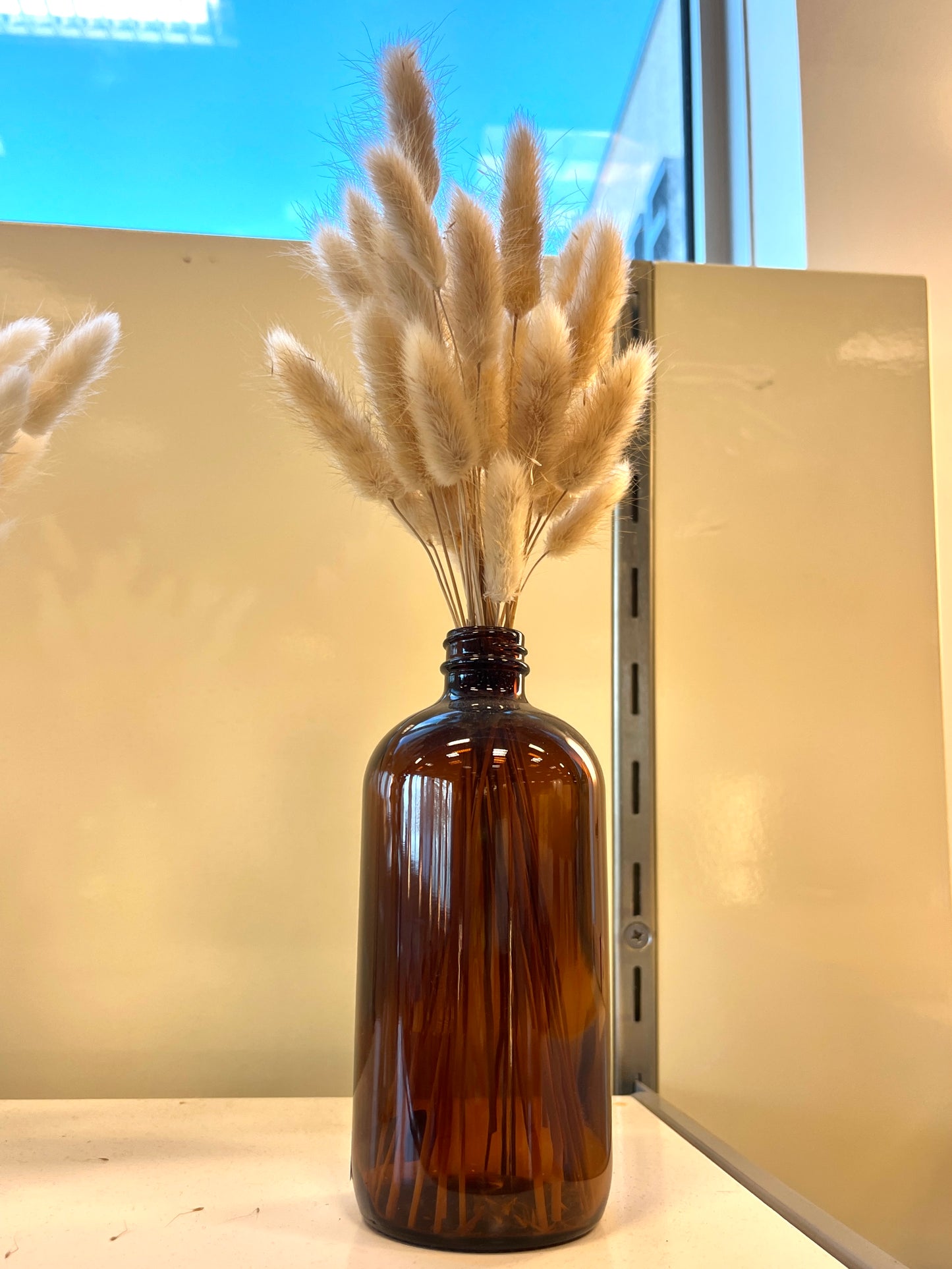 Brown Bunny Tails with Large Vase