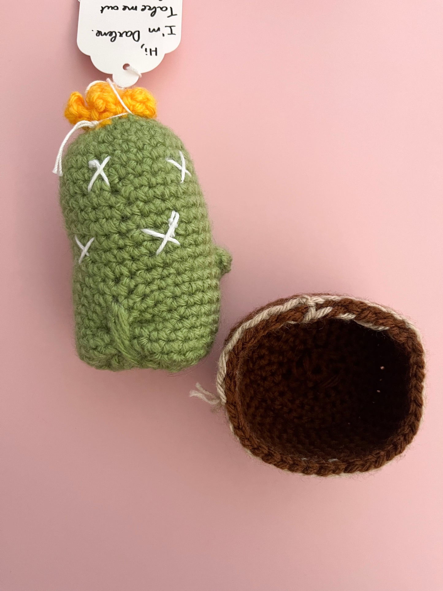 Cheeky Crochet Cactus