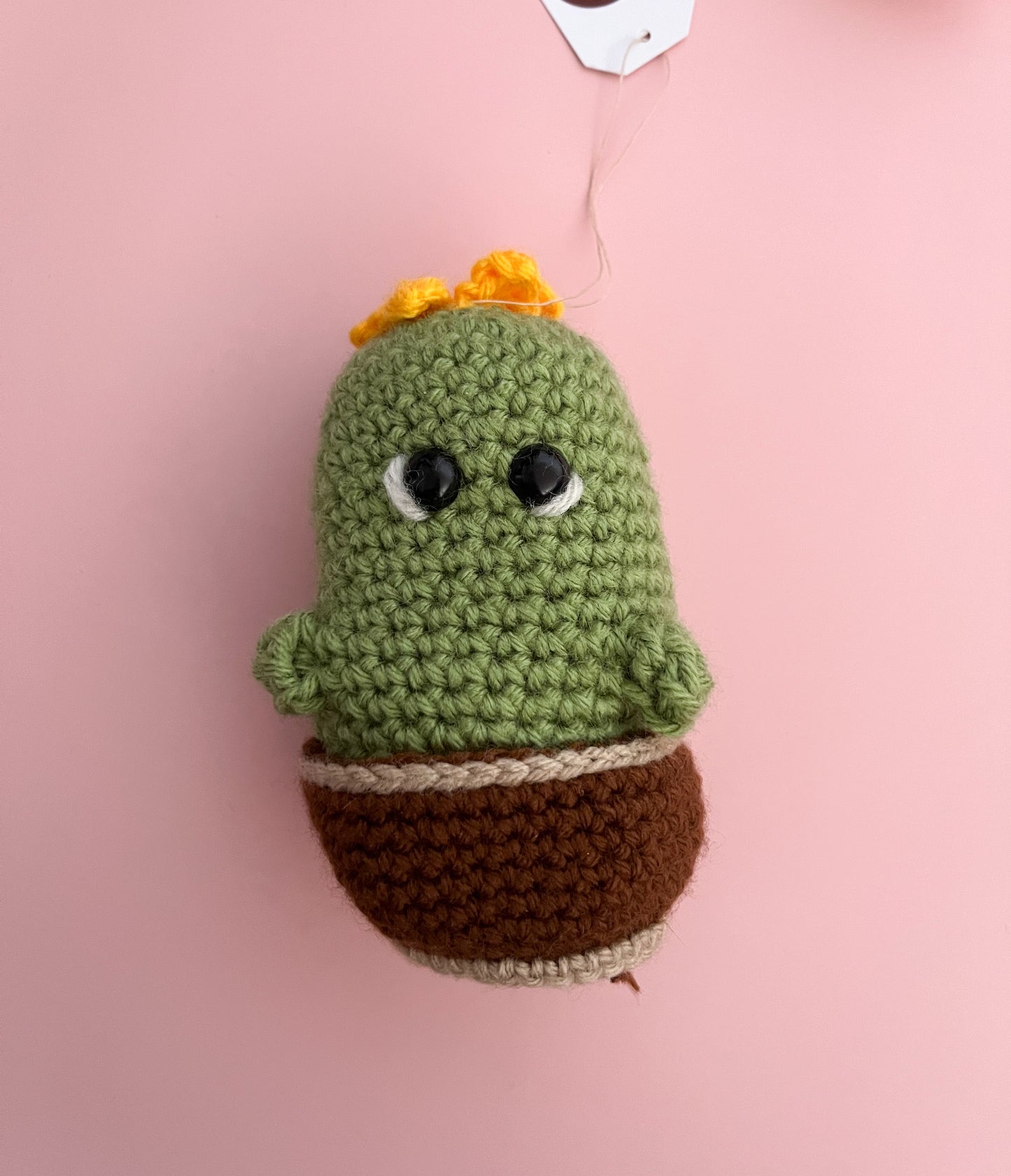Cheeky Crochet Cactus