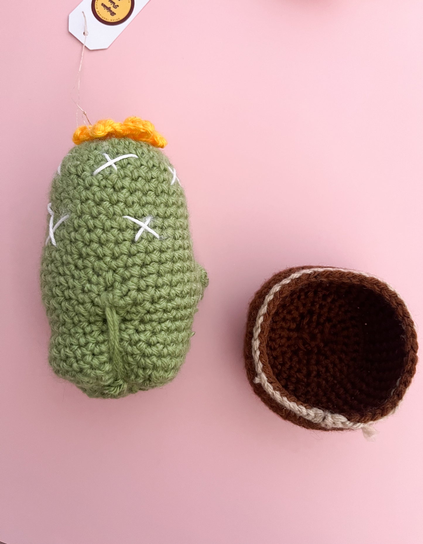 Cheeky Crochet Cactus