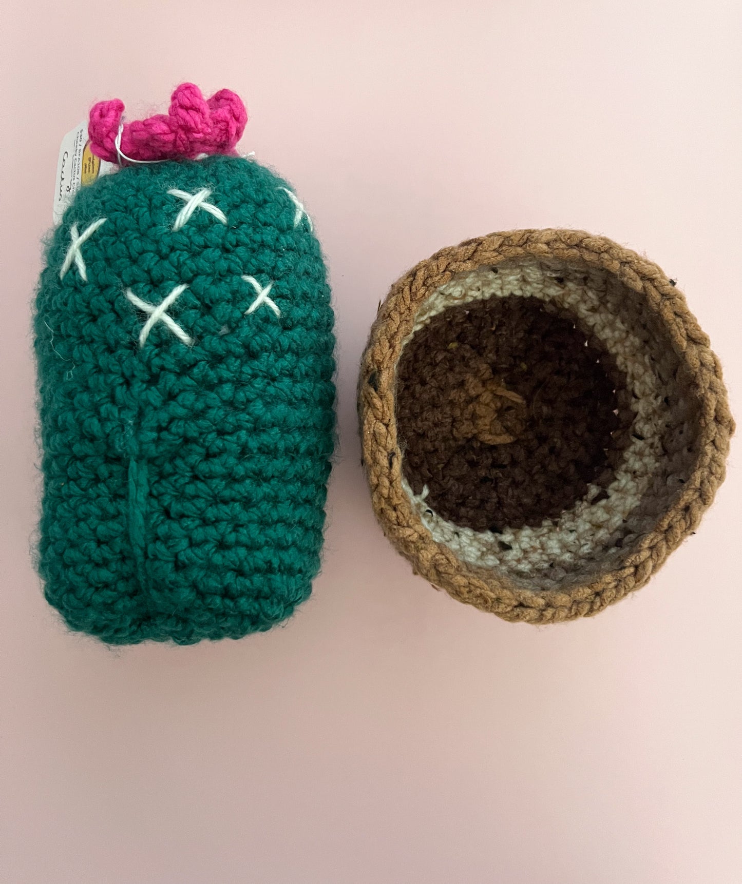 Cheeky Crochet Cactus