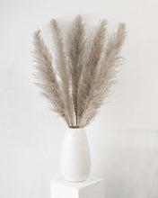 Pampas in Cool Grey Petite