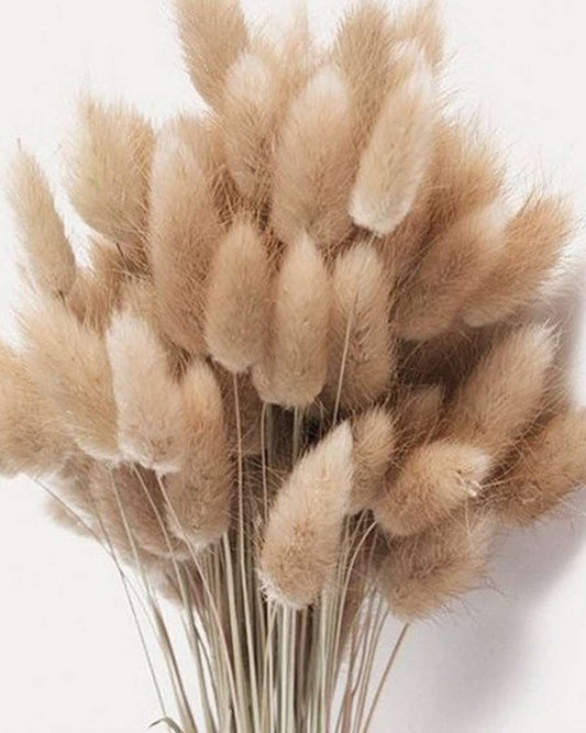 Natural Brown Bunny Tails