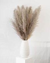 Pampas in Cool Grey Grande