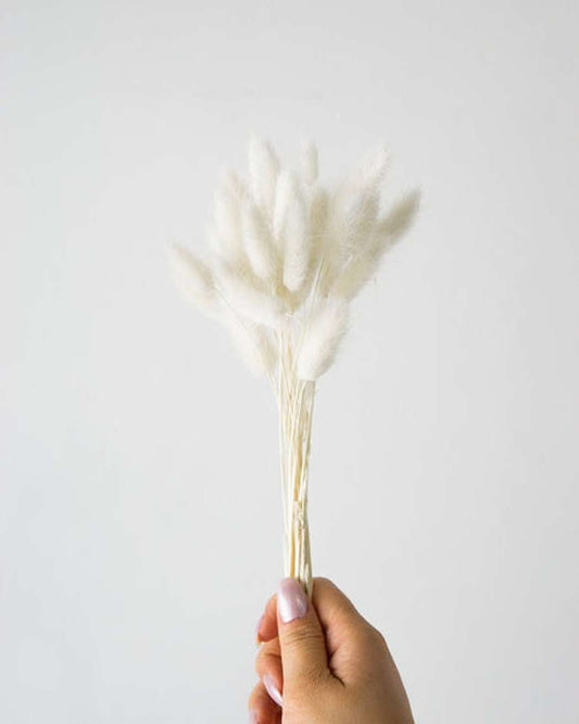 White Bunny Tails