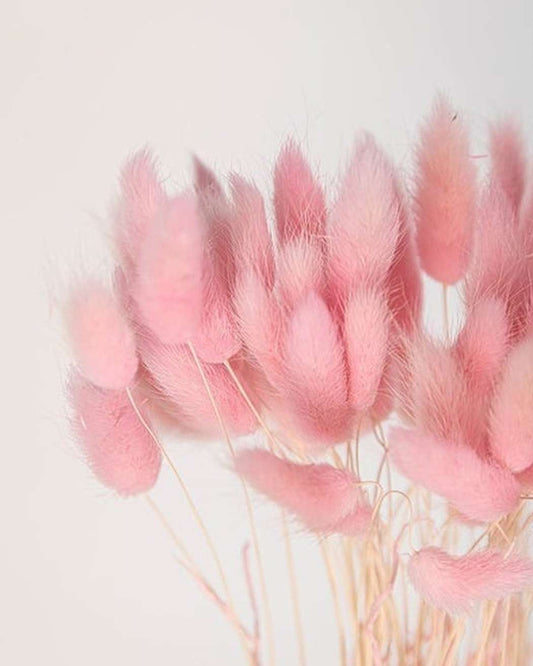 Pink Bunny Tails
