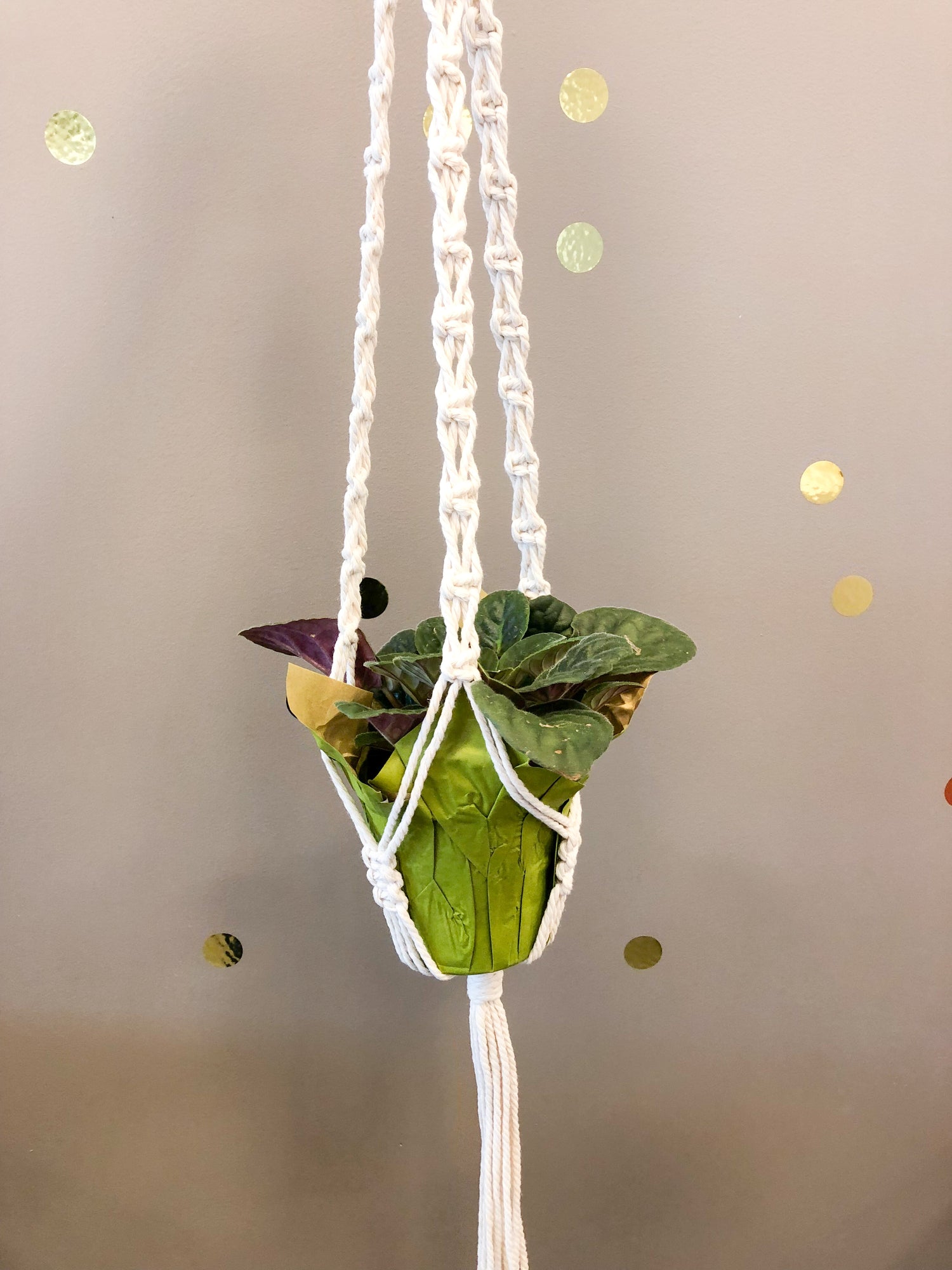 For The Plant Lover