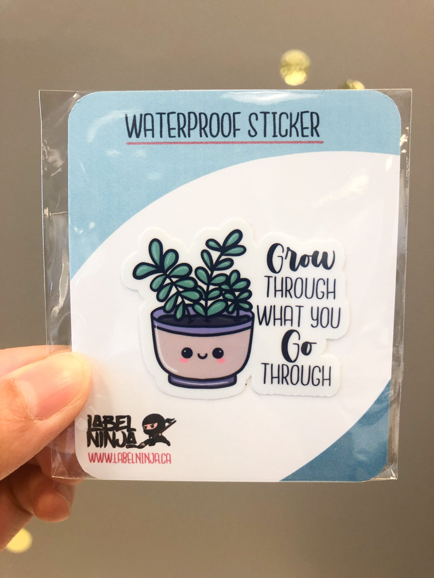 Grow Through What You Go Through Succulent Sticker