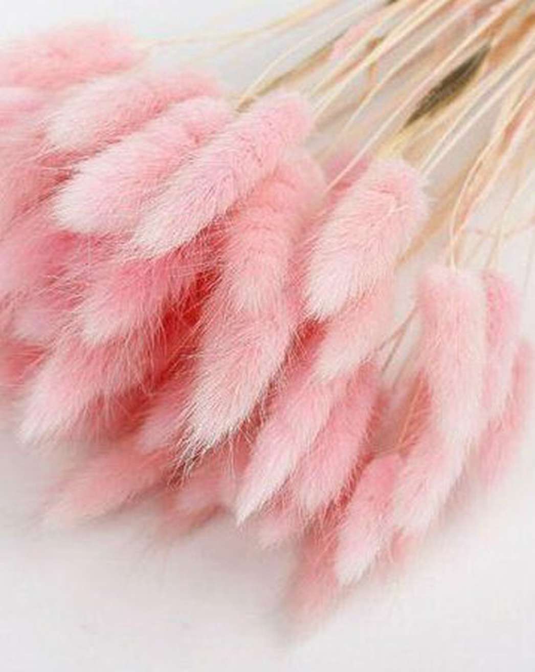 Pink Bunny Tails